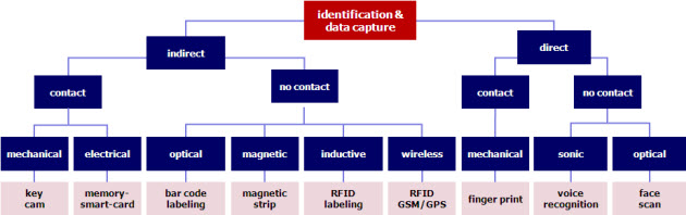 auto_id_structur-ing.jpg